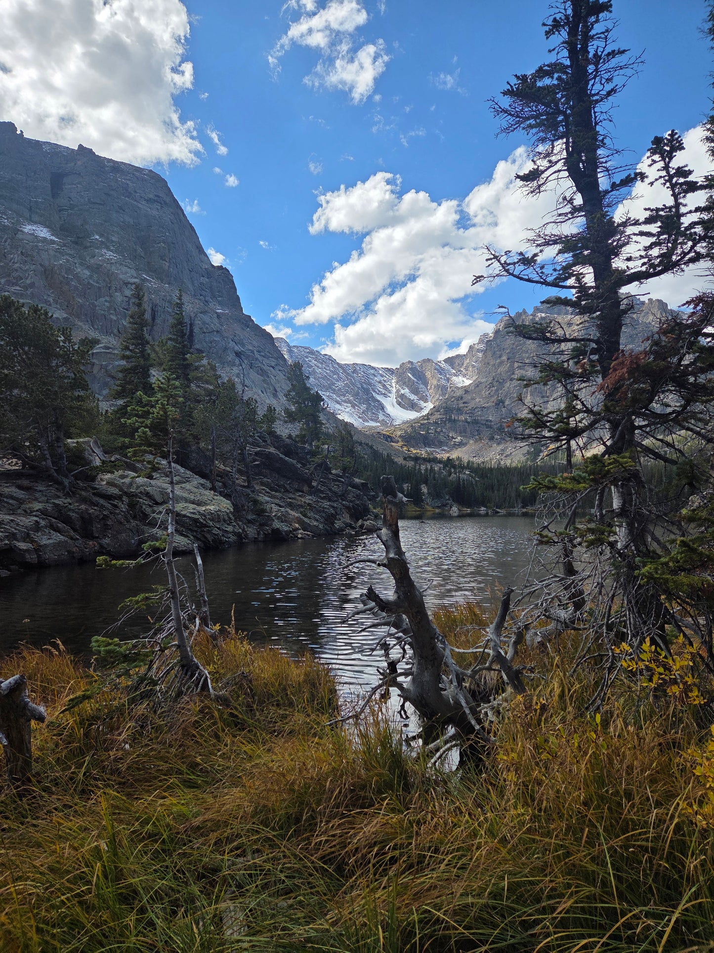 Emily Mahlon - Wildlife and Landscape