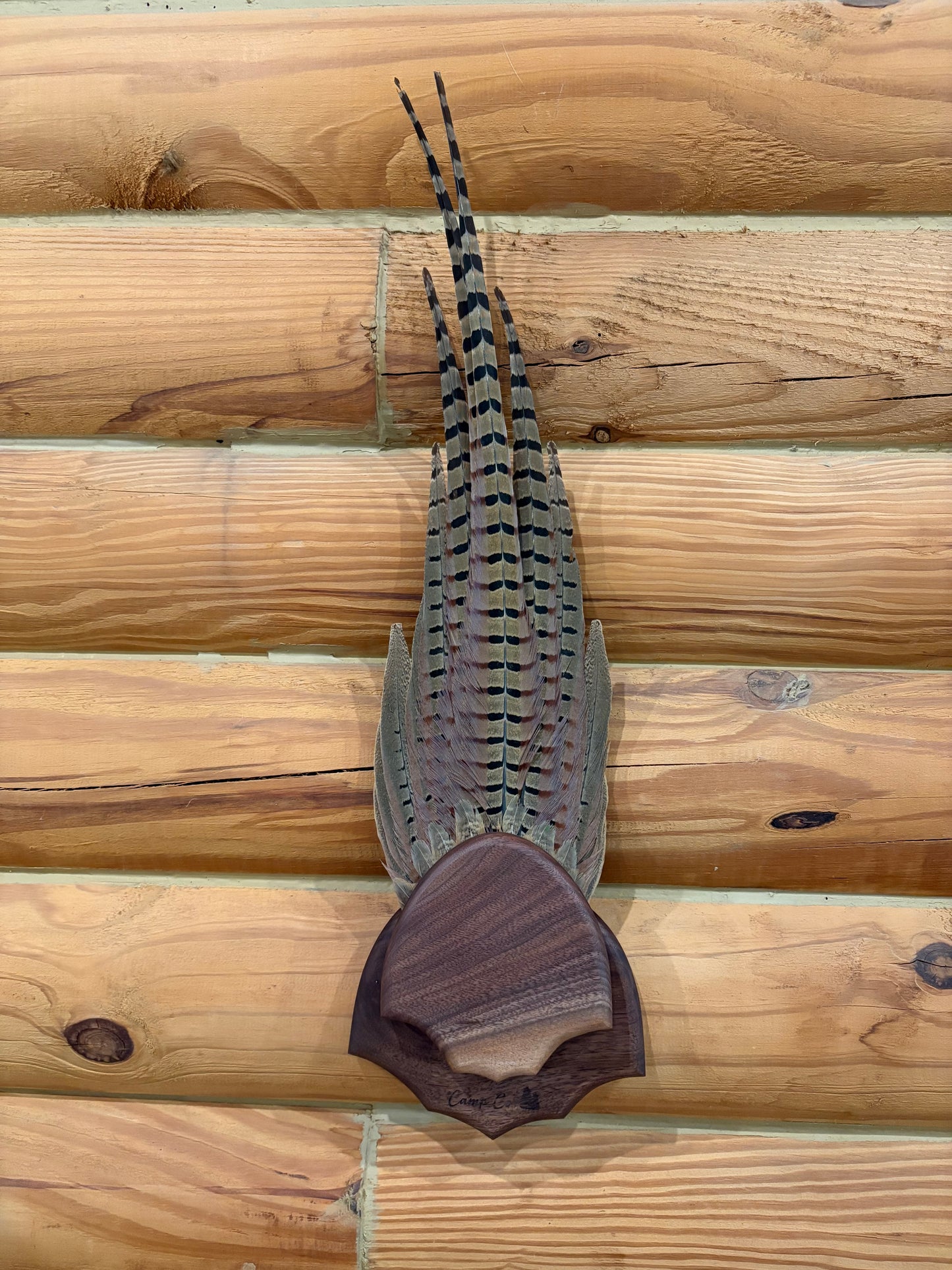 Pheasant Tail Plaque