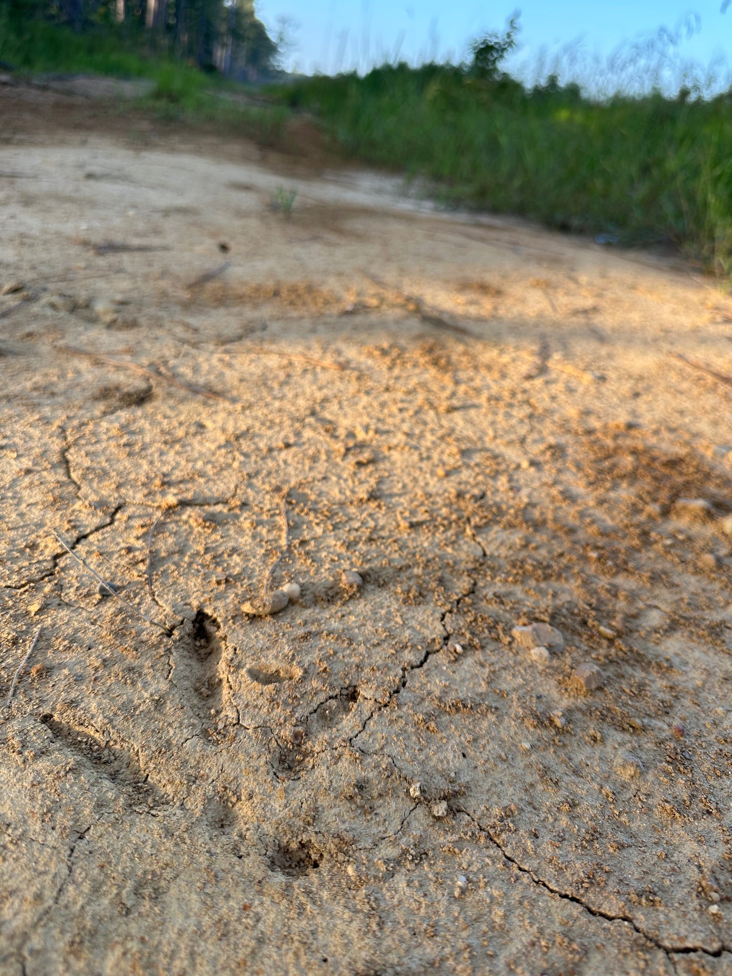 Reid Duvall - Wildlife and Landscape