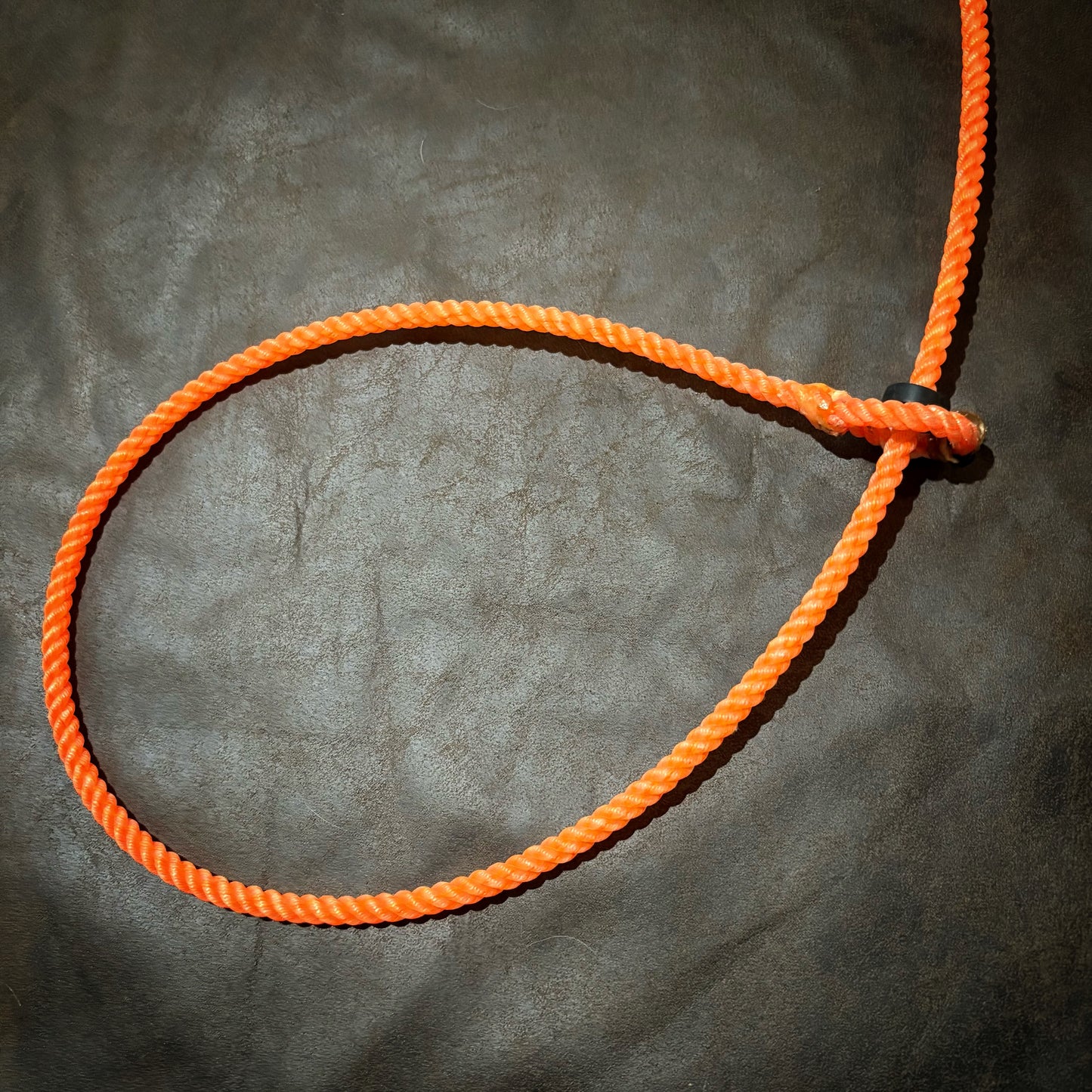 Command Style Slip Lead - Orange