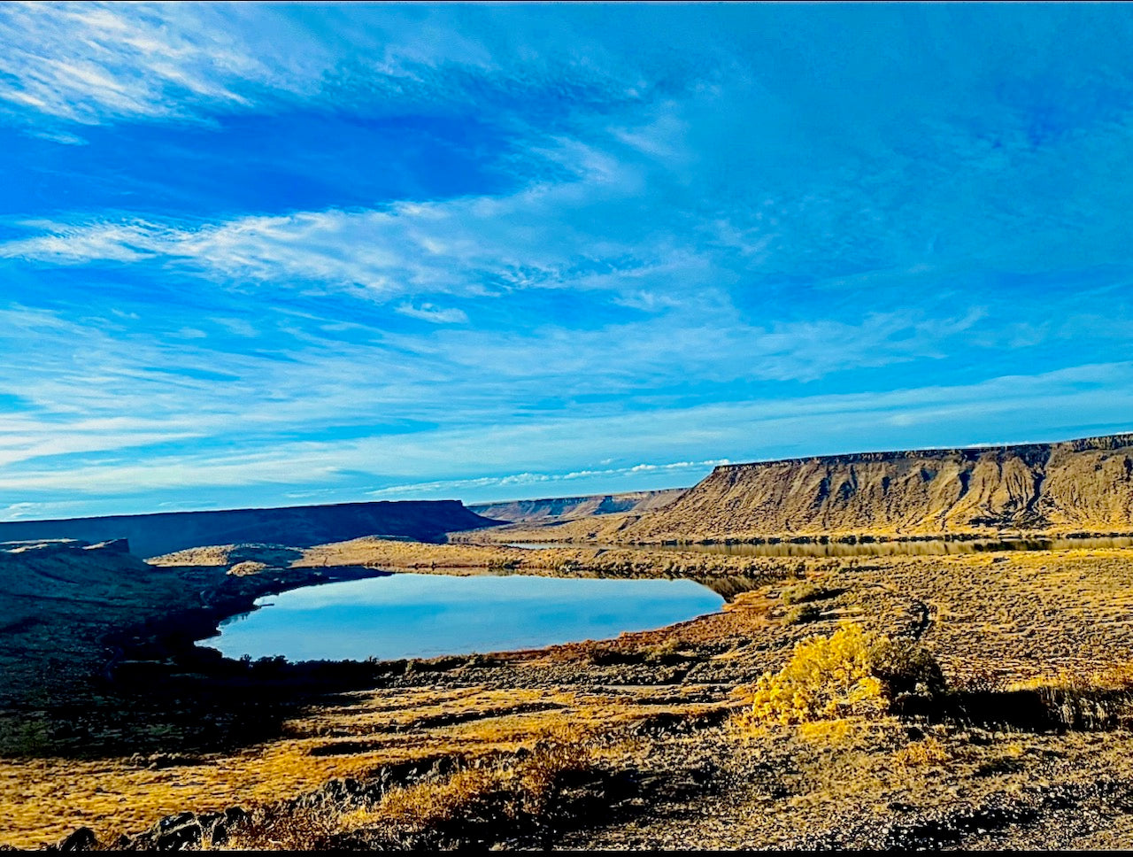 Jacob Young - Wildlife and landscape