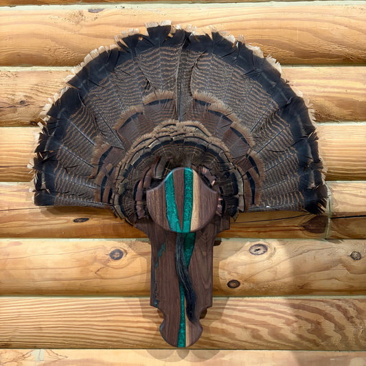 Wild Turkey Come Back