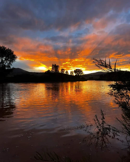 Corey Richter - Wildlife and Landscape