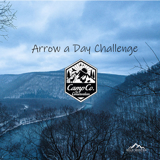 DONATIONS: Arrow a Day Challenge