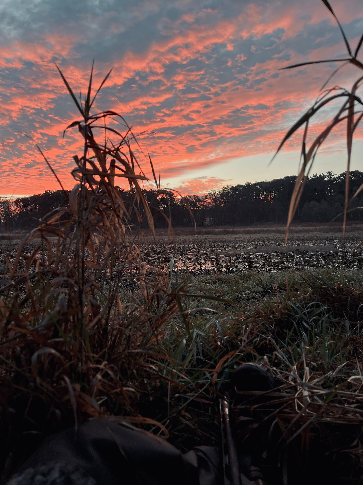 Joby Santhosam - Tools of the Trade - A Budget Blind