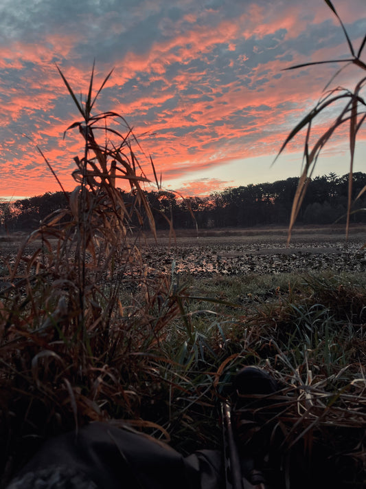 Joby Santhosam - Tools of the Trade - A Budget Blind