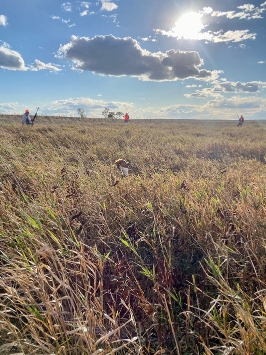 Jamie Mattice - SD Pheasant Opener - Traditions and Campfires