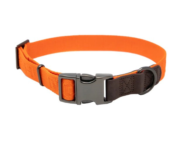 MOMarsh Adjustable Dog Collar