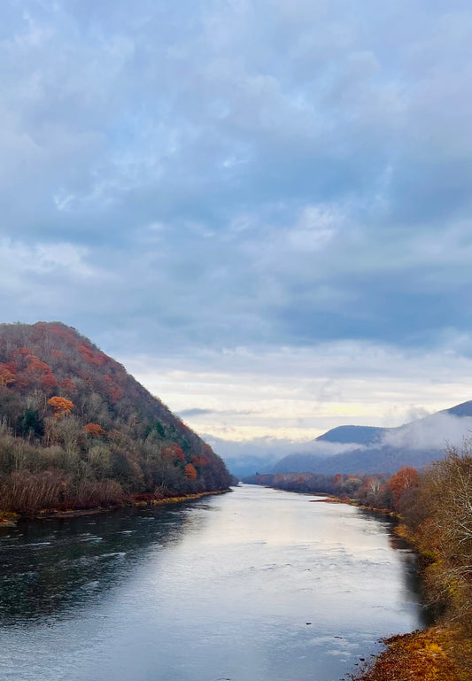 James Dezemo - Wildlife and Landscape